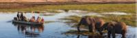 Wildlife viewing in Chobe River |  <i>Peter Walton</i>
