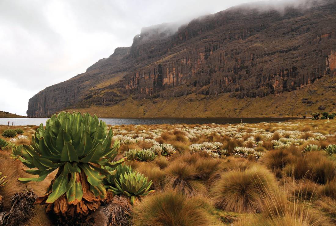 Cloudy scenery as we arrive at our Lake Ellis campsite | <i>Heike Krumm</i>