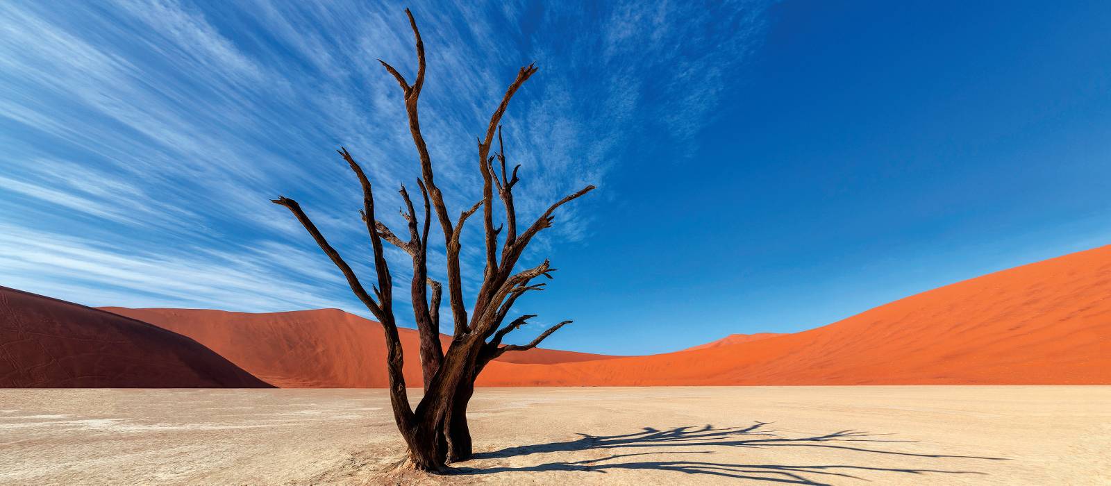 Colours of Deadvlei |  <i>Peter Walton</i>