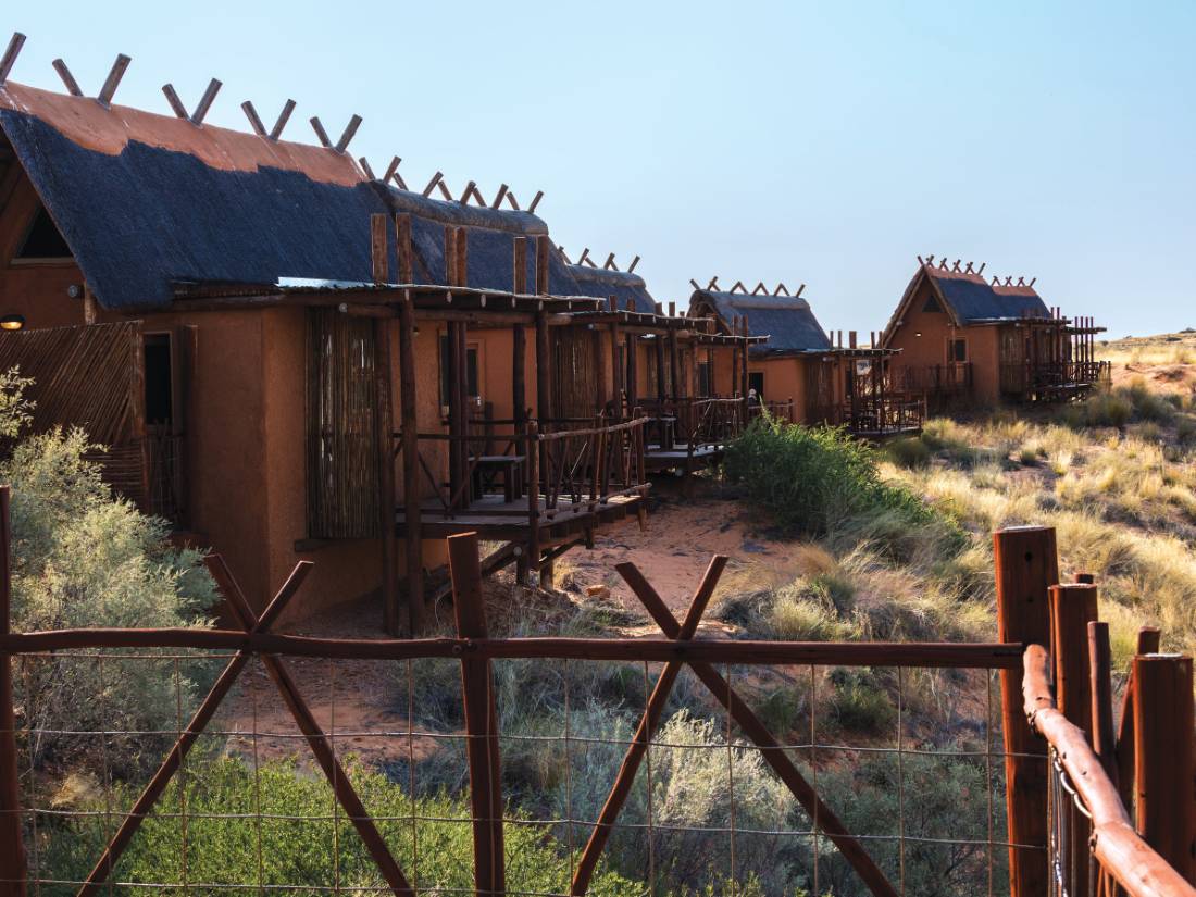 Desert camping on the 'African wilderness in comfort' trip |  <i>Peter Walton</i>