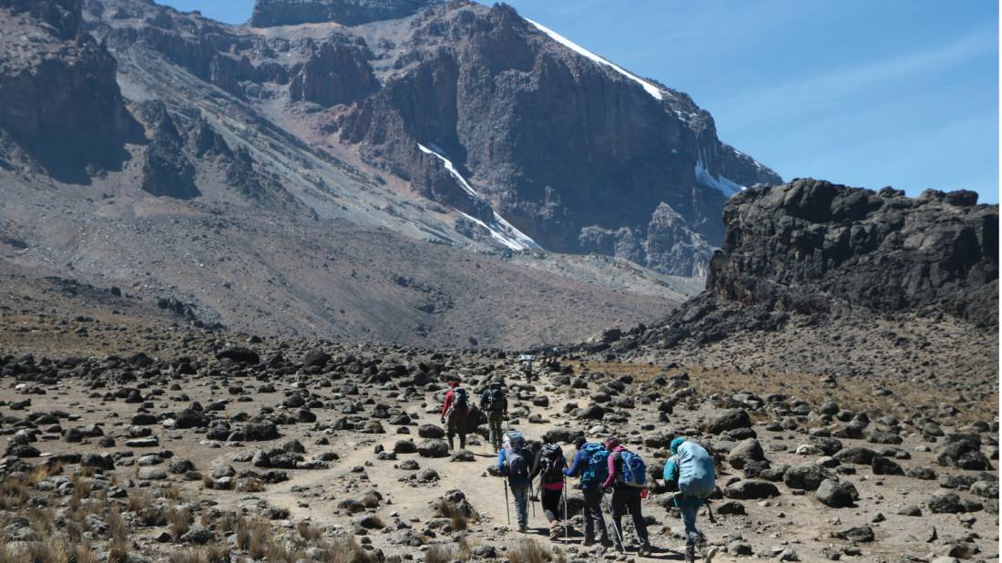 Trekkers exploring Kilimanjaro Shira route | <i>Kyle Super</i>