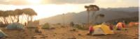 Camp set up on Kilimanjaro |  <i>Charles Duncombe</i>