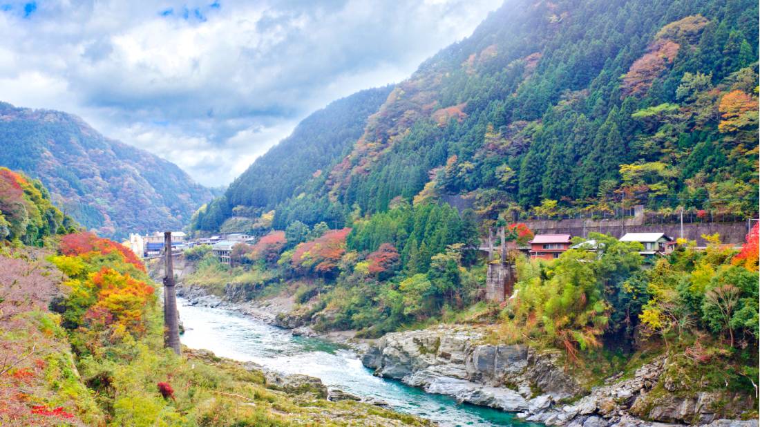Autumn colours on Shikoku Island