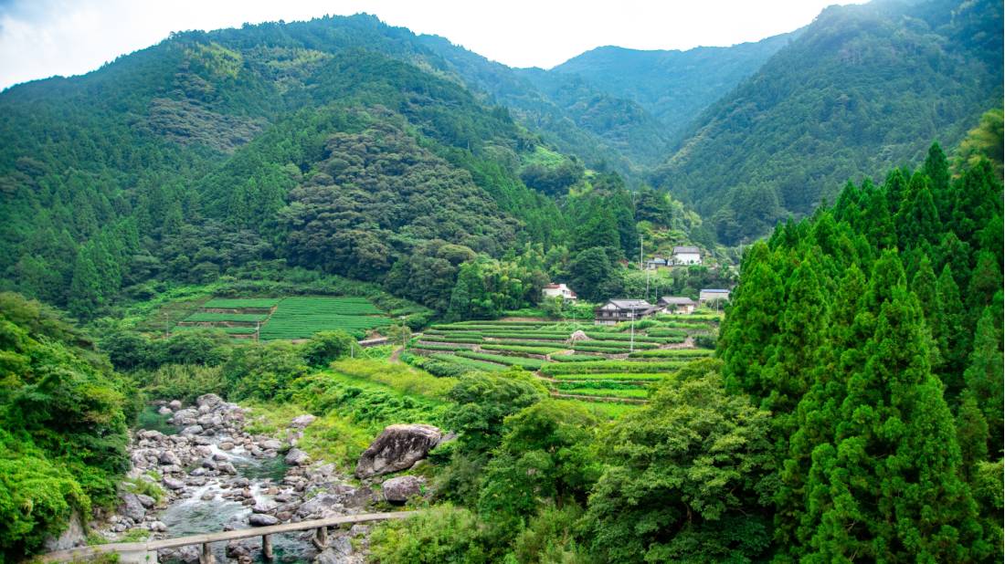 Beautiful natural scenes along the Shikoku Pilgrim Trail