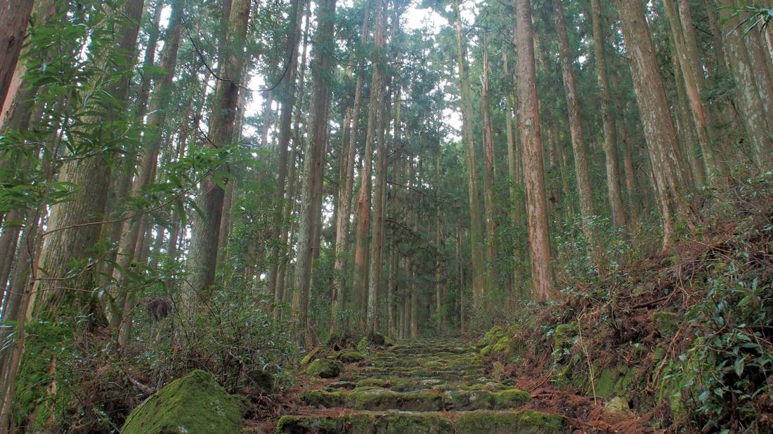 Mossy stairs hiking the beautiful Kumano Kodo Trail | <i>Jake Hutchins</i>