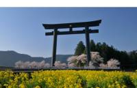 Oyunohara shrine's entrance is marked by the largest Torii gate in the world