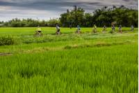 Rice paddy cycling in Vietnam |  <i>Richard I'Anson</i>