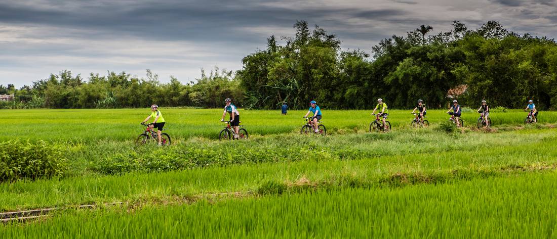Rice paddy cycling in Vietnam | <i>Richard I'Anson</i>