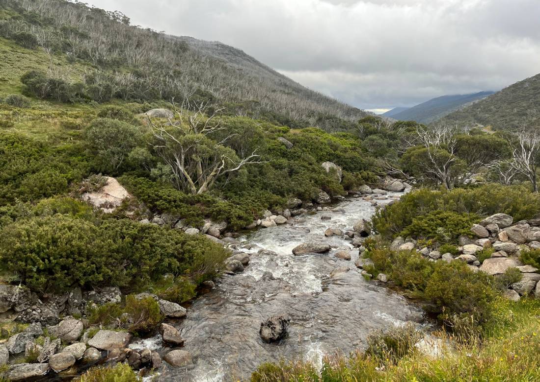 Alpine vistas in Kosciuszko National Park