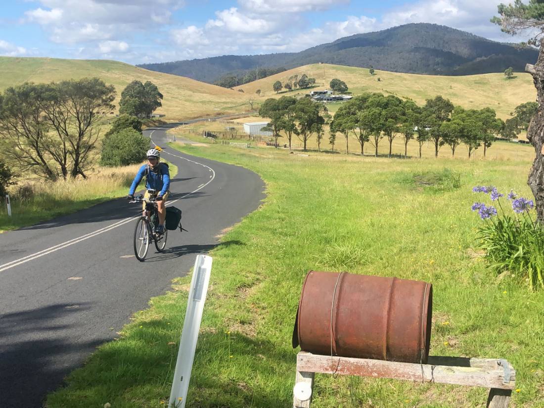 Cycling Myrtle Mountain to Candelo in Bega Shire |  <i>Kate Baker</i>