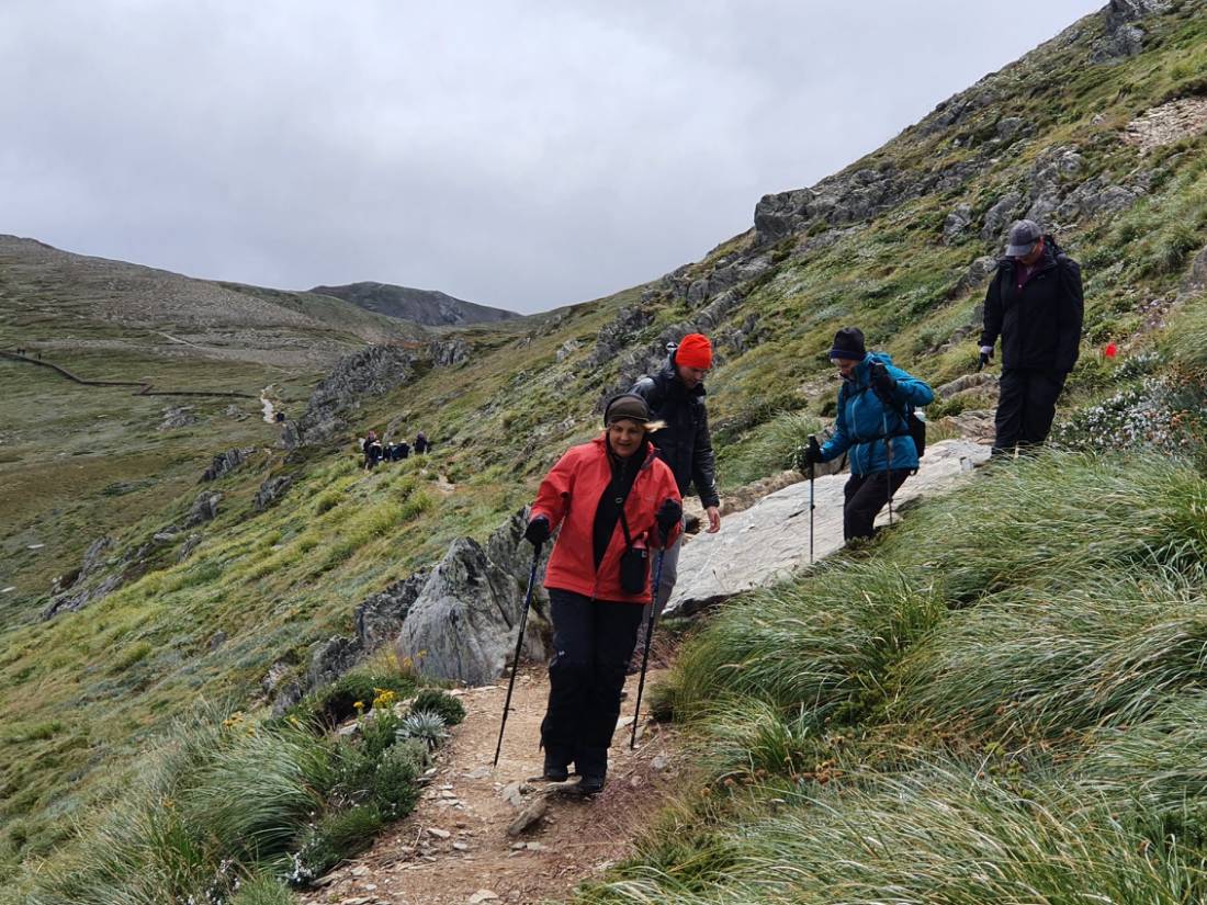 Hiking in Kosciuszko National Park |  <i>Zuzanna Kania</i>