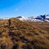 Rex Simpson hut |  <i>Autal Farkas</i>
