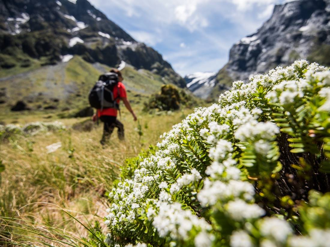 Exploring alpine valleys