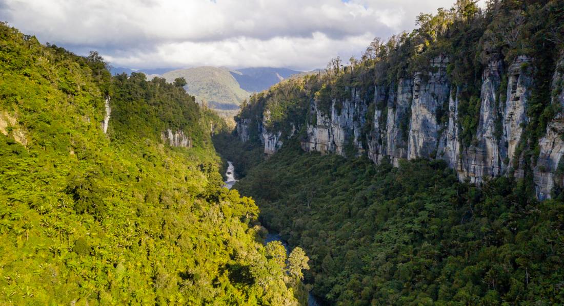 The incredible natural environment of the Paparoa Track on the West Coast | <i>Jase Blair</i>