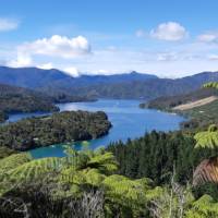 Picture postcard scenery along the Queen Charlotte - a photographer's dream |  <i>Kaye Wilson</i>
