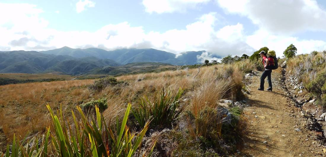 A walker stops to admire the views across the Tussockland | <i>Mar Knox</i>