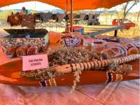Food glorious food; our menu includes many native bush foods |  <i>#cathyfinchphotography</i>