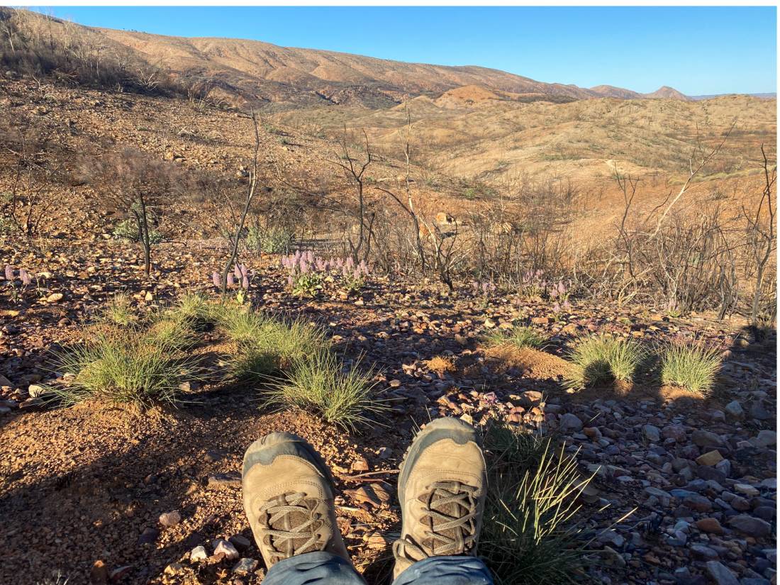 A classic 'feet up' moment on the Larapinta | <i>#cathyfinchphotography</i>