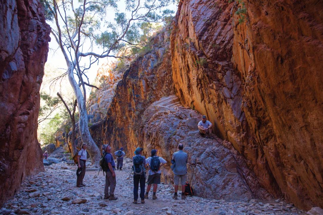 Exploring Standley Chasm on the Larapinta Trail | <i>Graham Michael Freeman</i>