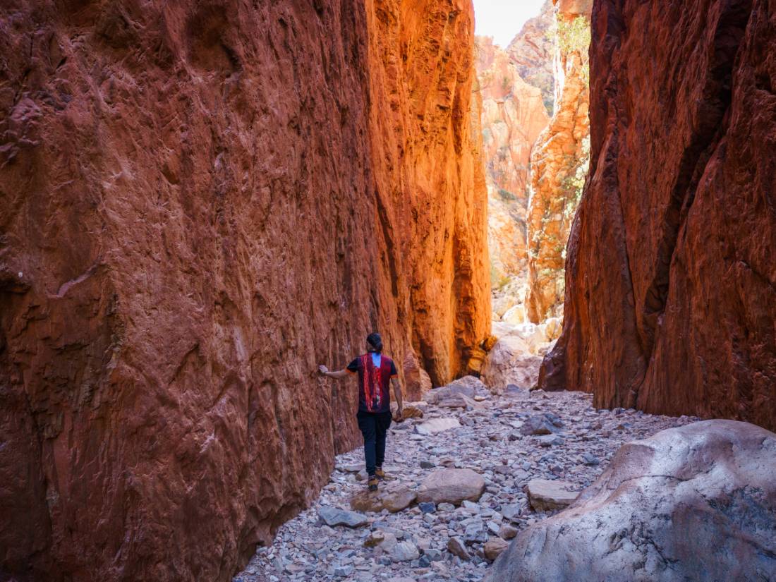 Standley Chasm |  <i>Luke Tscharke</i>