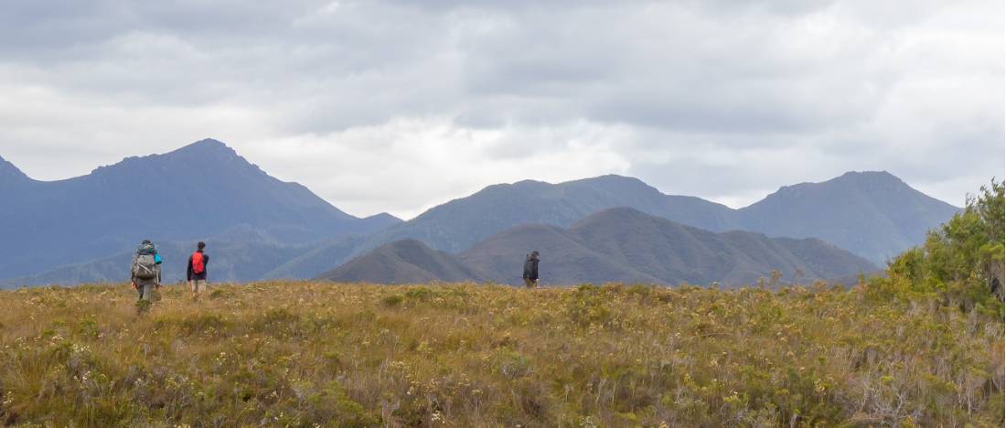 Trekking towards the Ironbound ranges on the South Coast Track in Tasmania | <i>John Dalton</i>