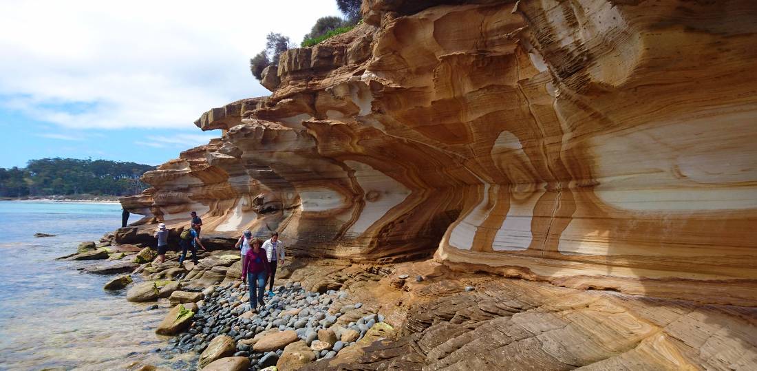 Explore Tasmania's Maria Island by foot |  <i>Oscar Bedford</i>