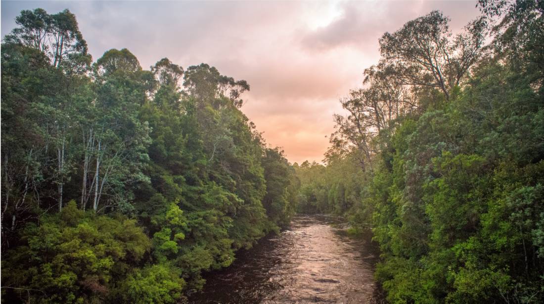 The Pristine Tasmanian Wilderness World Heritage Area. | <i>Glenn Walker</i>