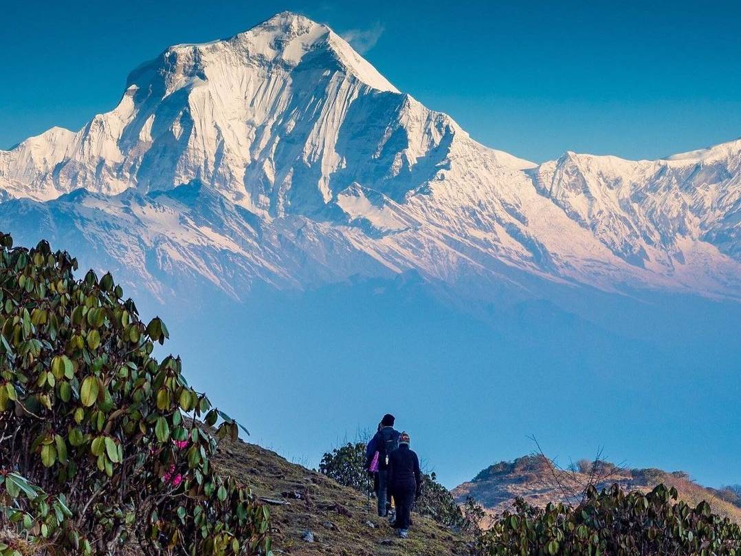 Walking among giants - what a view. |  <i>Patrick OShea</i>