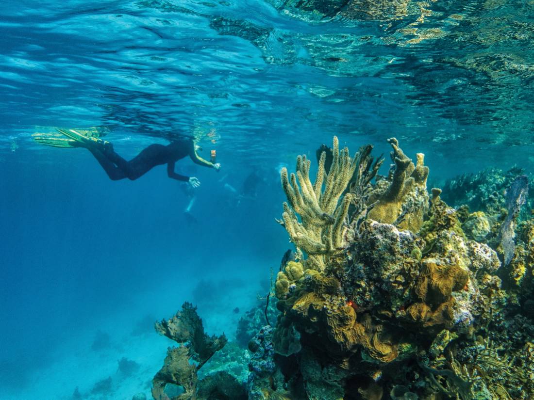 Submerged underwater is the best way to view Lighthouse Reef