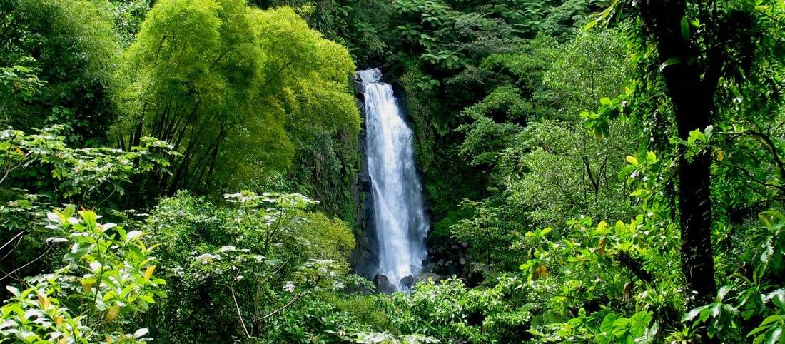 Hiking the Waitukubuli National Trail in Dominica