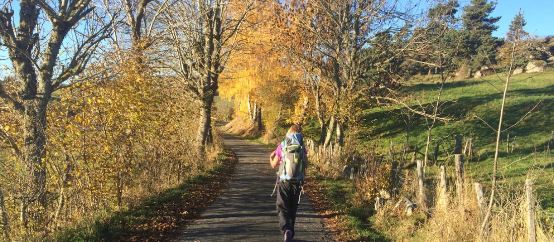 On the Way of St James in the Haute Provence near St Privat |  <i>Kate Baker</i>