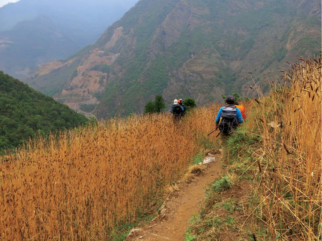 Verdant scenery while trekking towards Makalu Barun National Park |  <i>Ray Mustey</i>
