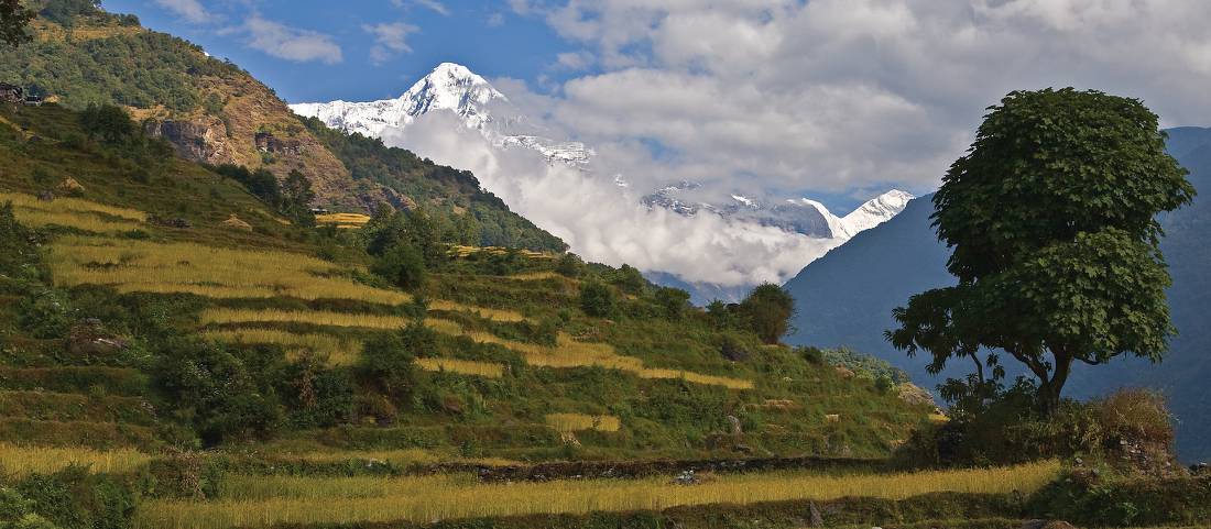 The trails of the Annapurna region are dotted with small villages | <i>Peter Walton</i>
