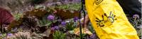 Help us keep the places that inspire us clean by taking part in our 10 Pieces litter initiative |  <i>Lachlan Gardiner</i>