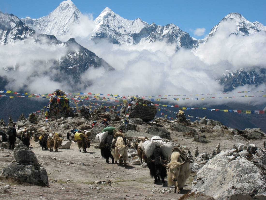 Yak trains, Prayer flags and the brilliant Himalayan mountains on the way to Everest Base Camp. | <i>Melodie Probert</i>