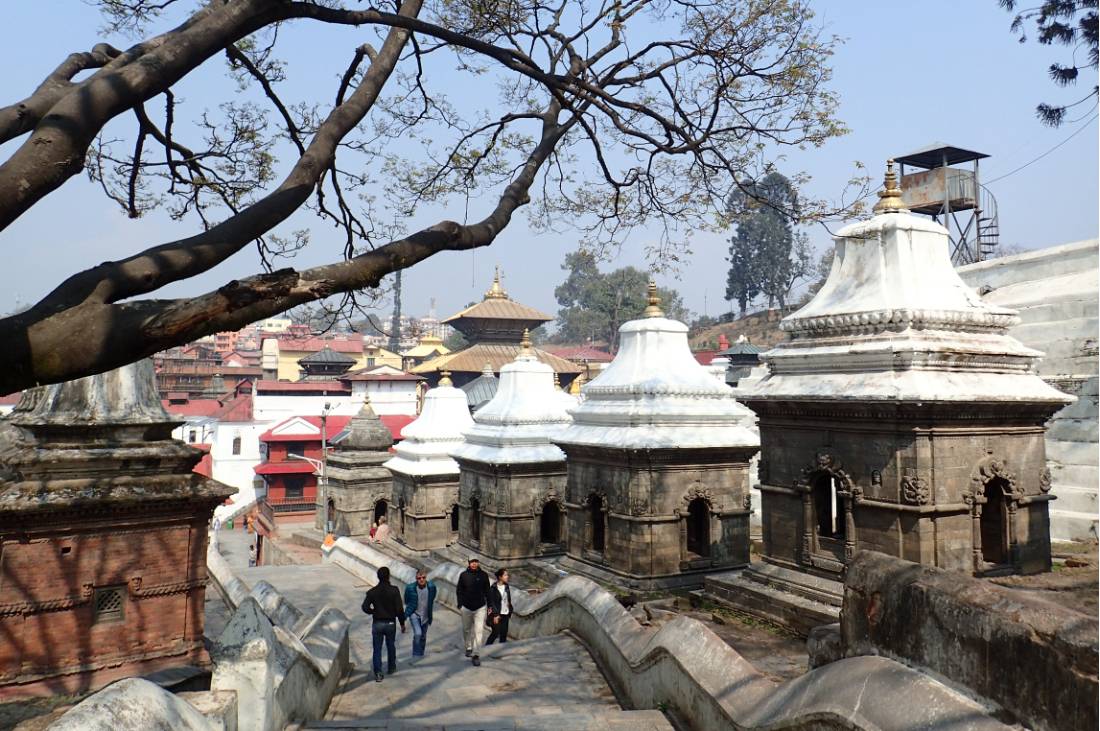 The beauty of Pashupatinath in Kathmandu |  <i>Sally Dobromilsky</i>