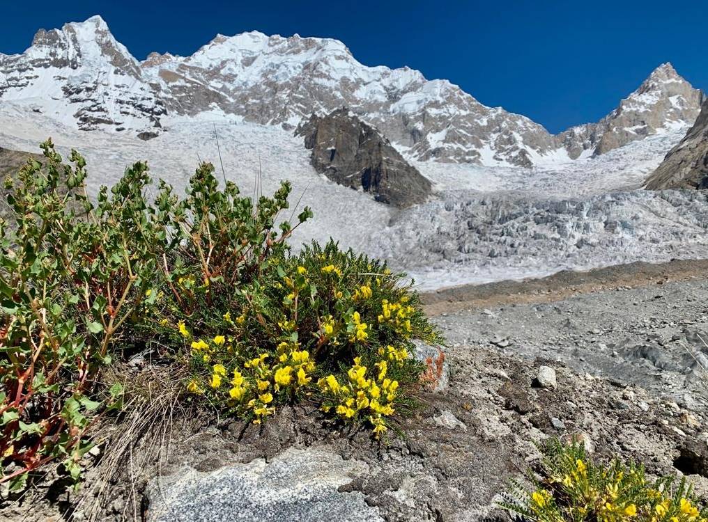 Wildlife in the Karakoram ranges |  <i>Soren Kruse Ledet</i>