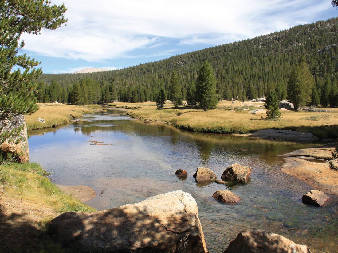 The Sierra Nevada's's densely-forest valleys |  <i>Ken Harris</i>