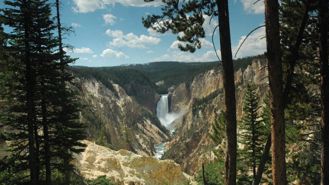 Yellowstone National Park |  <i>Sue Badyari</i>