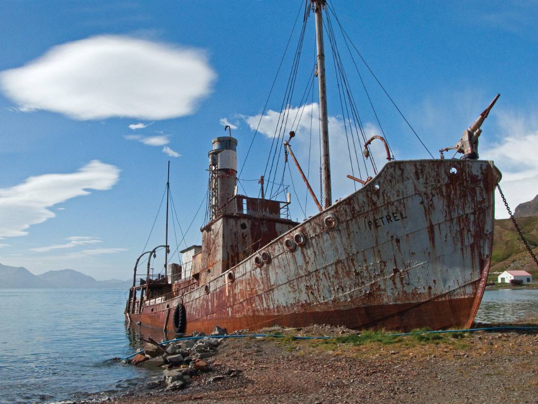 Shipwreck on South Georgia |  <i>Peter Walton</i>