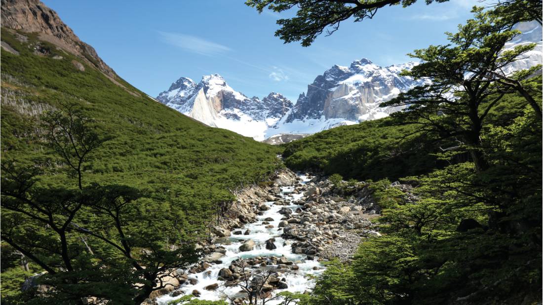 Verdant landscapes in French Valley, Patagonia | <i>Kyle Super</i>