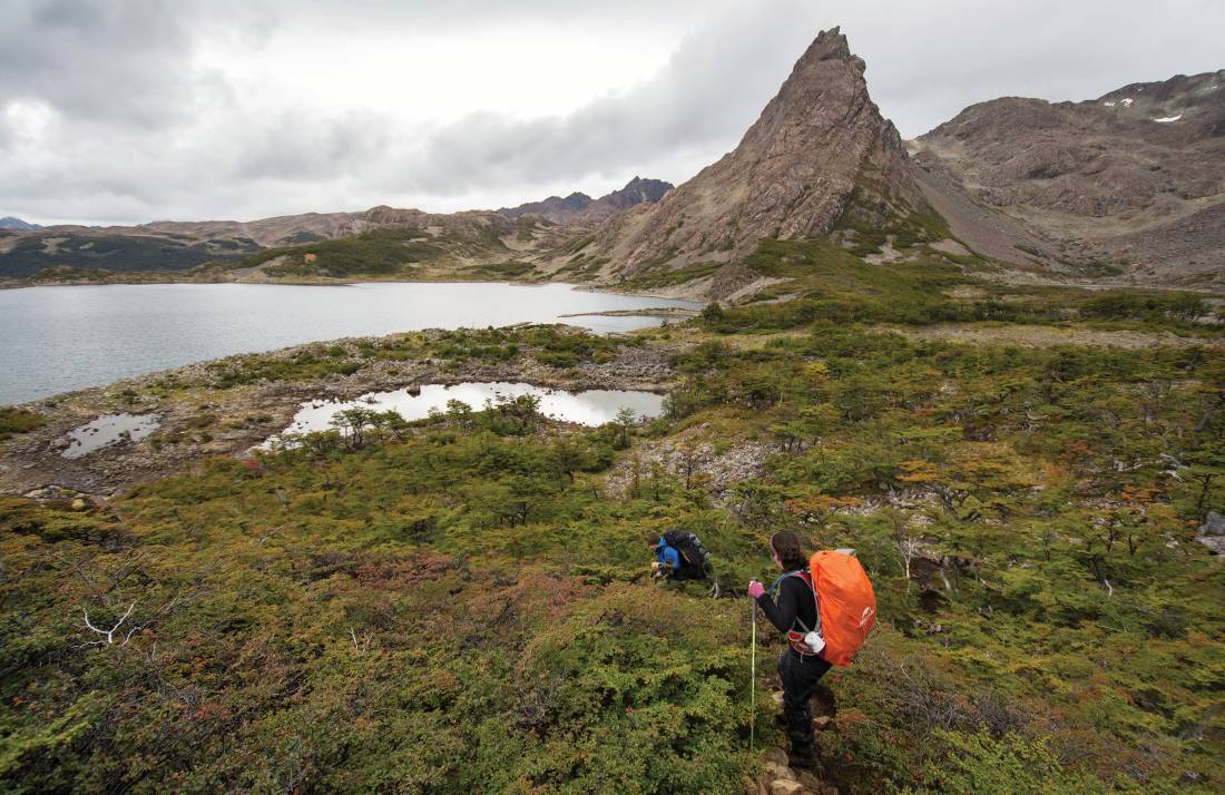 Vibrant colours trekking Los Dientes de Navarino circuit in Patagonia |  <i>EcoCamp Patagonia</i>