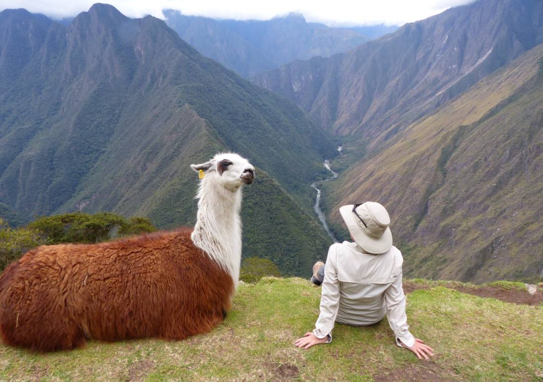 Making new friends on the Inca Trail | <i>Bette Andrews</i>