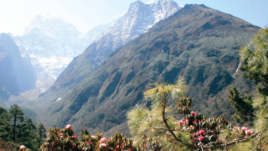 Vibrant green views over the Himalayas | <i>Stephanie Pirrie</i>